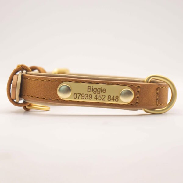Leather-pet-collar-brown