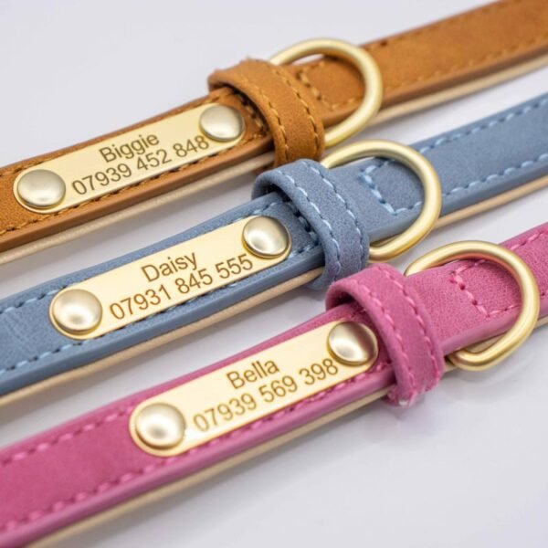 Leather-pet-collar-hoops