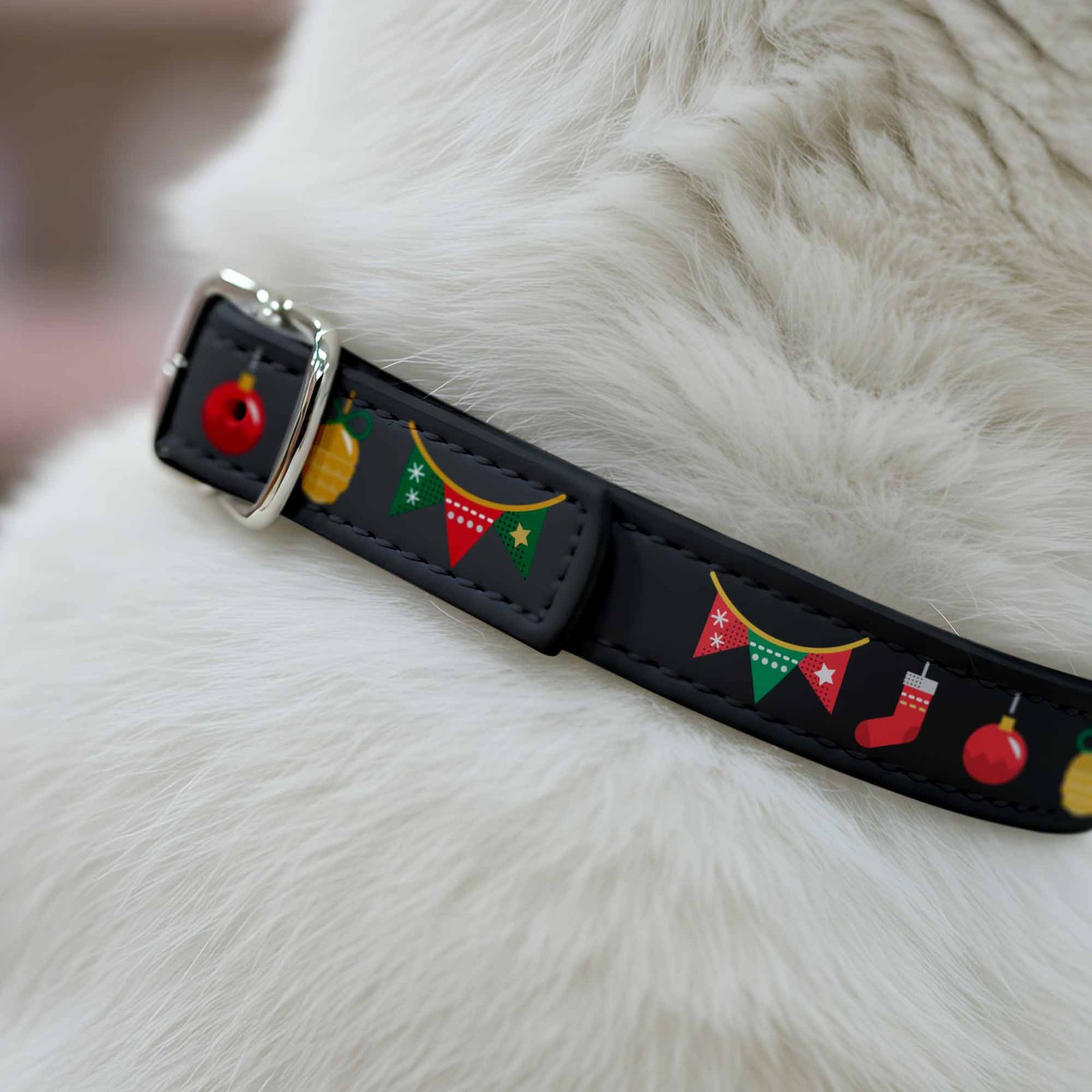 Black-collar-decorations---White-cat_