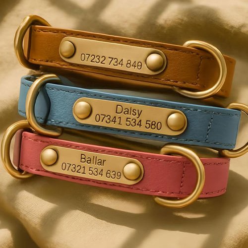 Personalised dog collars and leads with engraved name plates