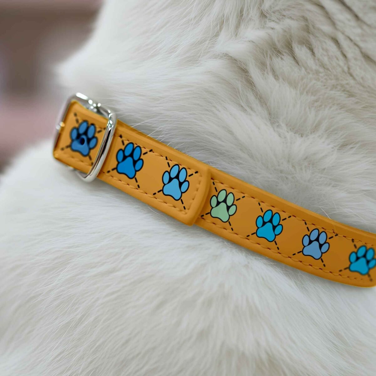 Yellow Collar - Blue Paws Print - Image 3