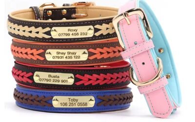 Personalised Dog Collar or ID Tag? Which Is Best for Your Dog