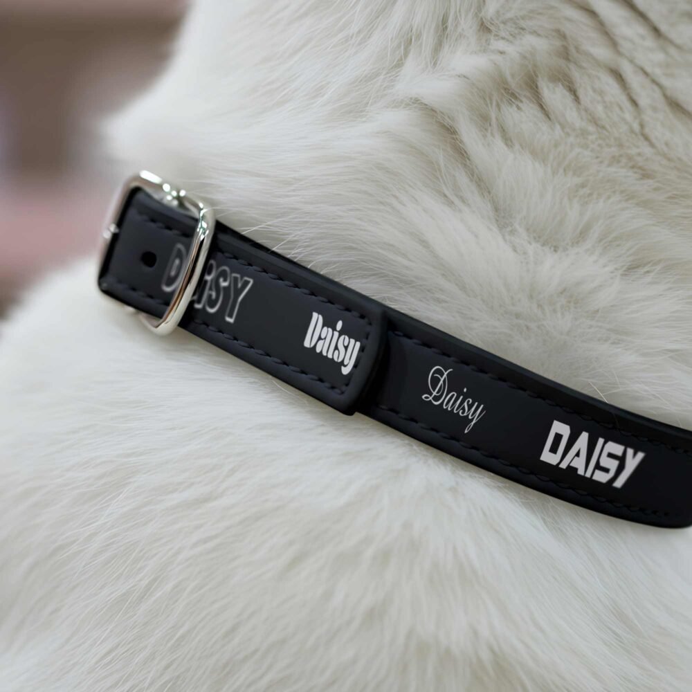 Personalised Multi Name Pet Collar, Unique Typography