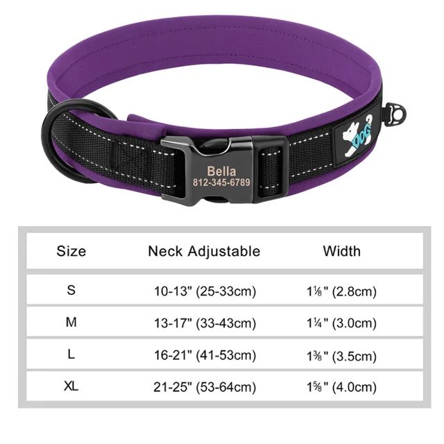 Purple nylon reflective collar