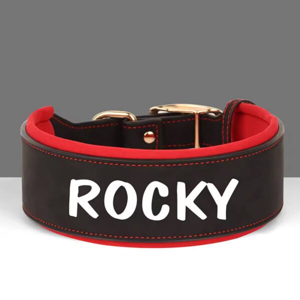 Black-wide-double-layer