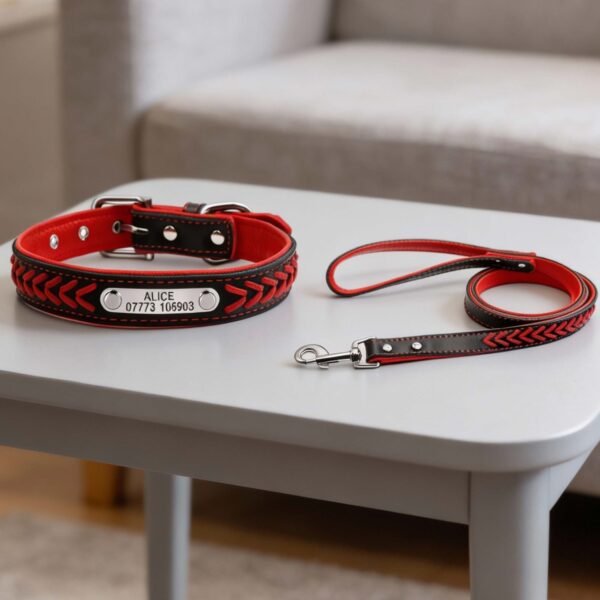 Braided Collar and leash-set for dogs and pets