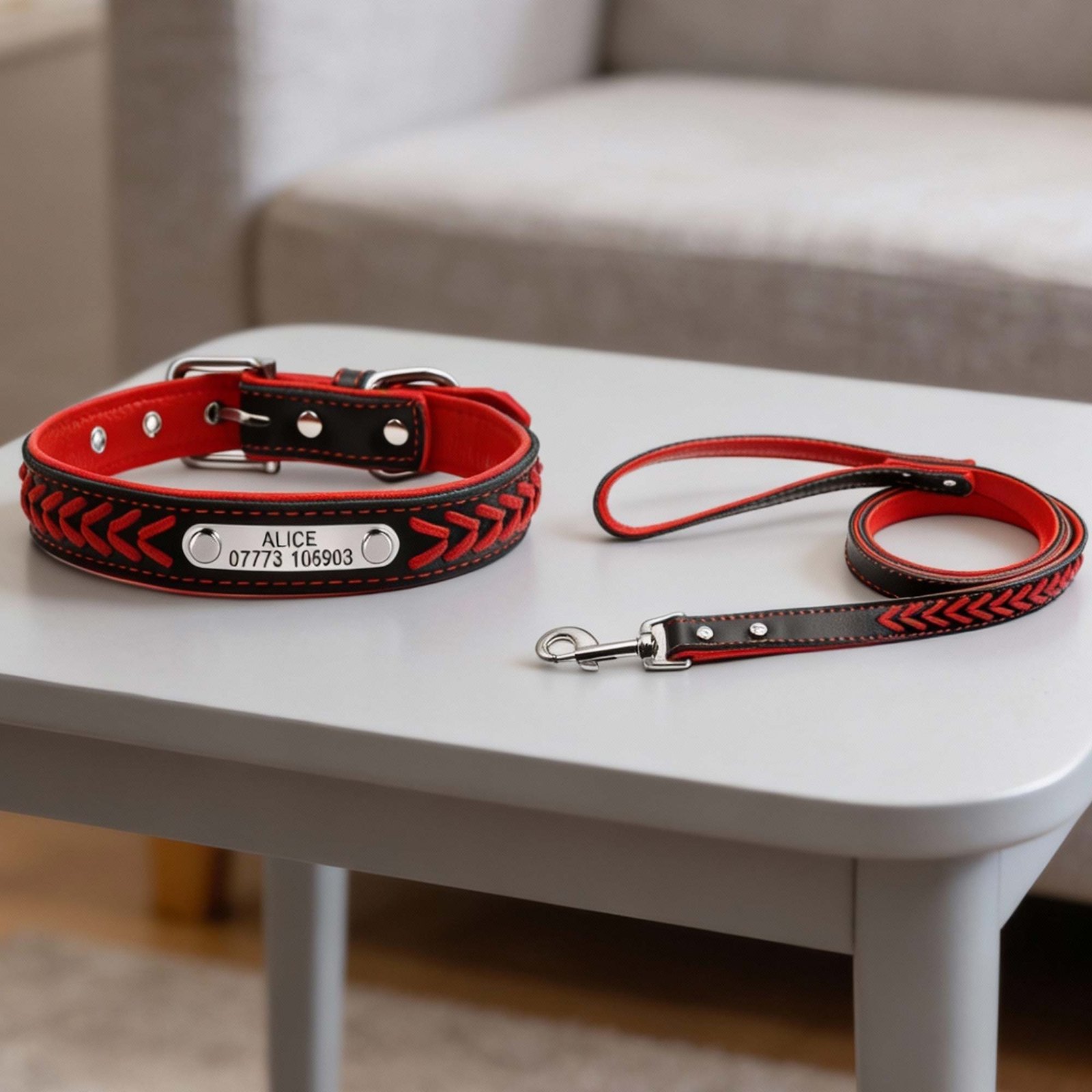 Braided Collar and leash-set for dogs and pets