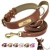 Brown Collar and-Lead Leather Set