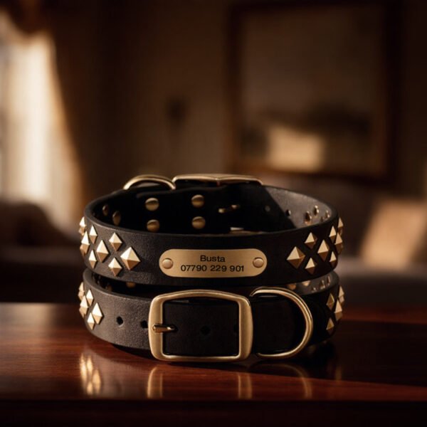 Black-on-table-Genuine-Leather-Dog-studded-Collar.jpg