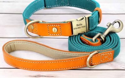 How to Get Your Puppy Used to a Collar: A Step-by-Step Guide