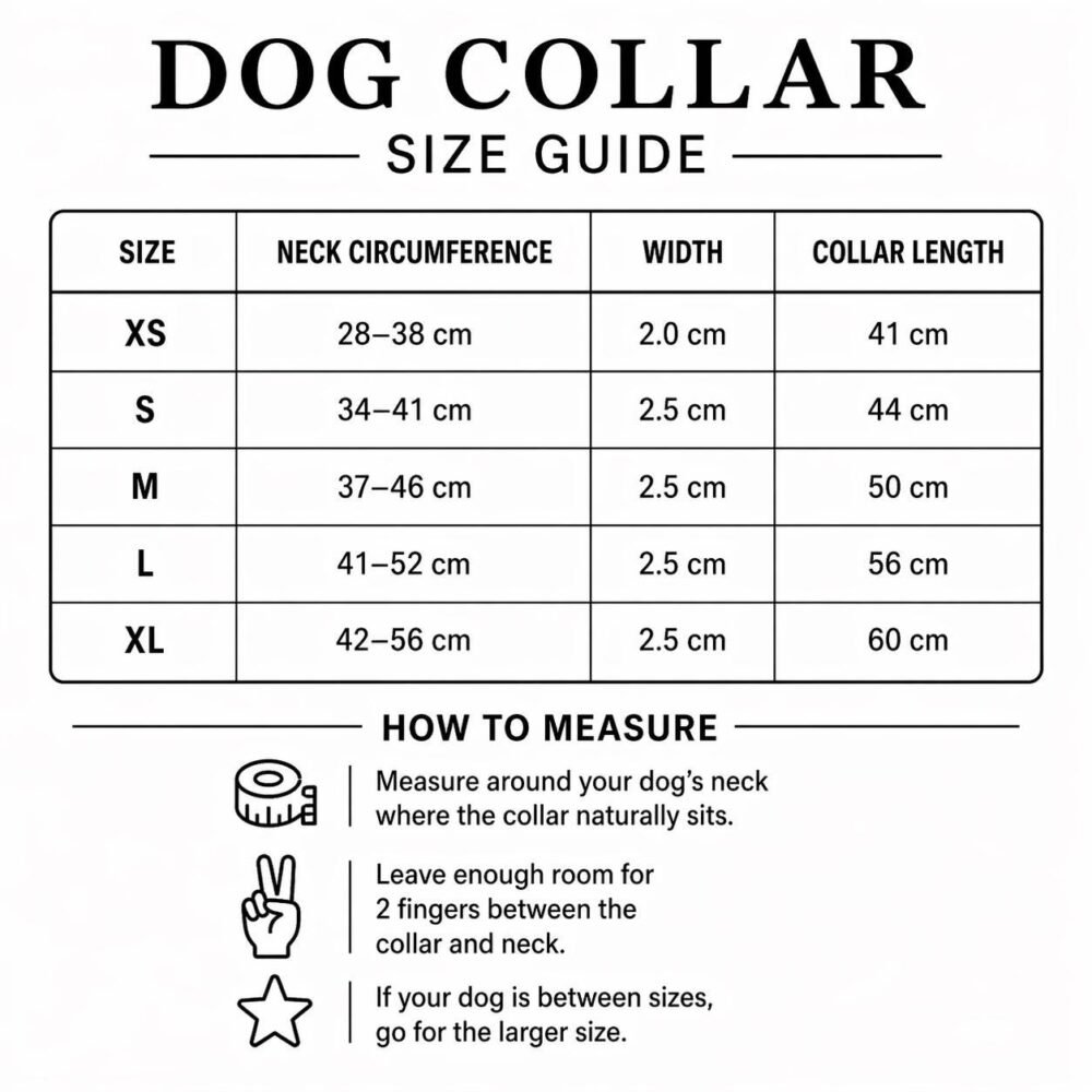 A flashing LED collar helps keep your dog visible on darker autumn walks before the fireworks begin. A flashing LED collar helps keep your dog visible on darker autumn walks before the fireworks begin.