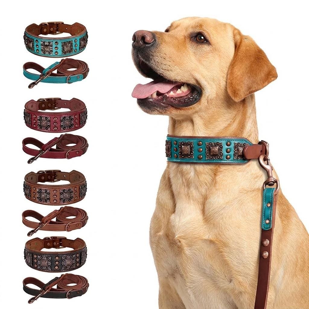 2 Inch Aztec Leather Dog Collar & Lead Set – Large Dogs – photo 2