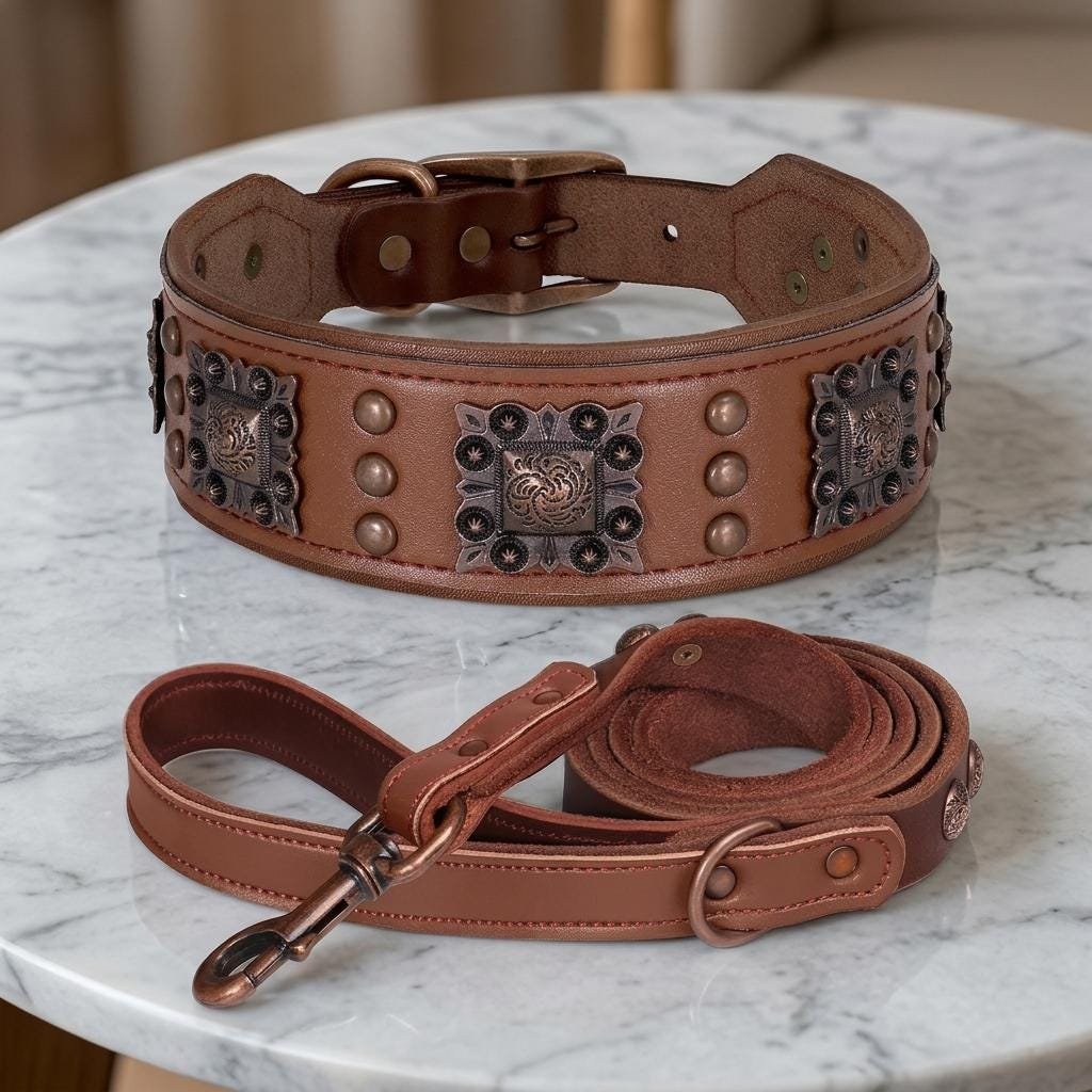 2 Inch Aztec Leather Dog Collar & Lead Set – Large Dogs
