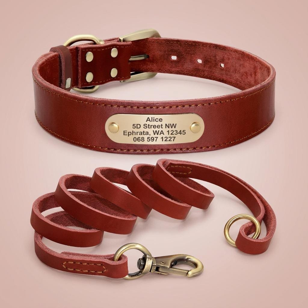 Personalised Real Leather Dog Collar & Lead Set – photo 4