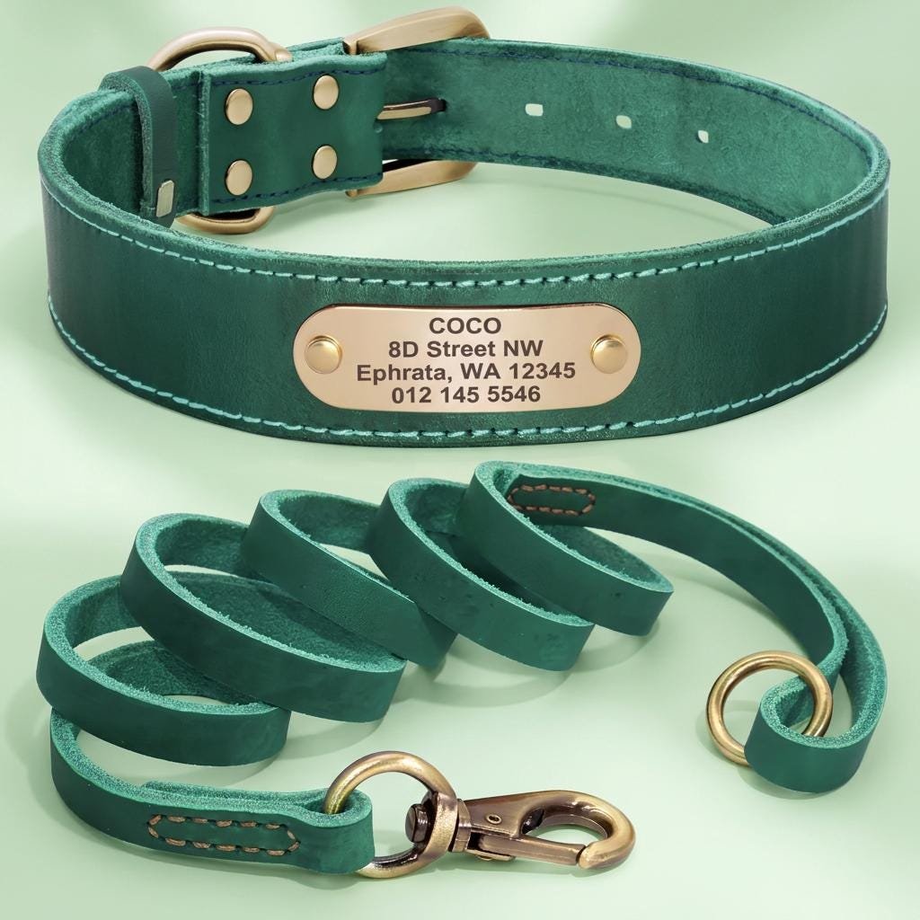 Personalised Real Leather Dog Collar & Lead Set – photo 6