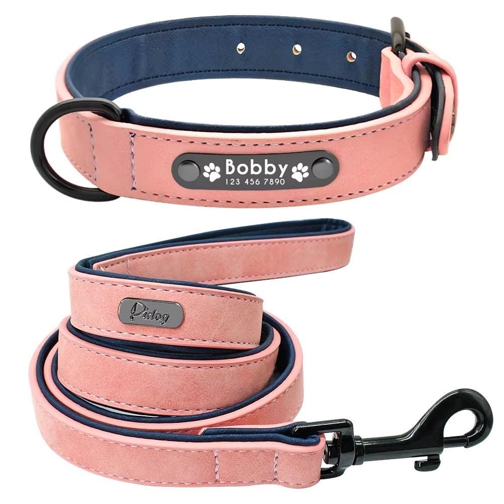 Personalised Padded Leather Dog Collar & Lead Set – photo 6