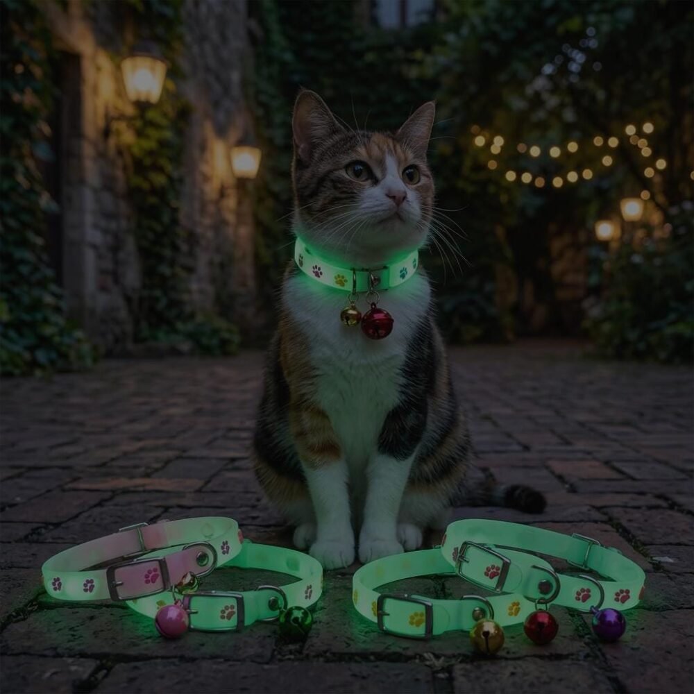Glow in the dark collar, a simple alternative to Halloween costumes for dogs