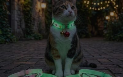 Halloween Costumes for Dogs: 6 Spooky Myths Busted