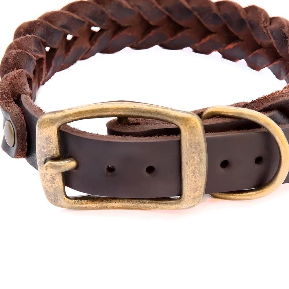 Braided Genuine Leather Dog Collar – Premium – photo 4